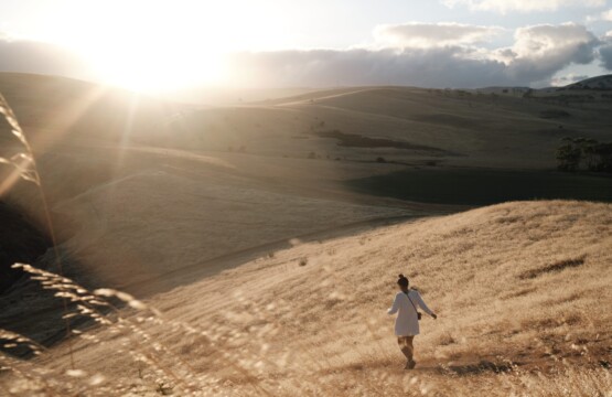 Rapid Bay Walks Near Normanville