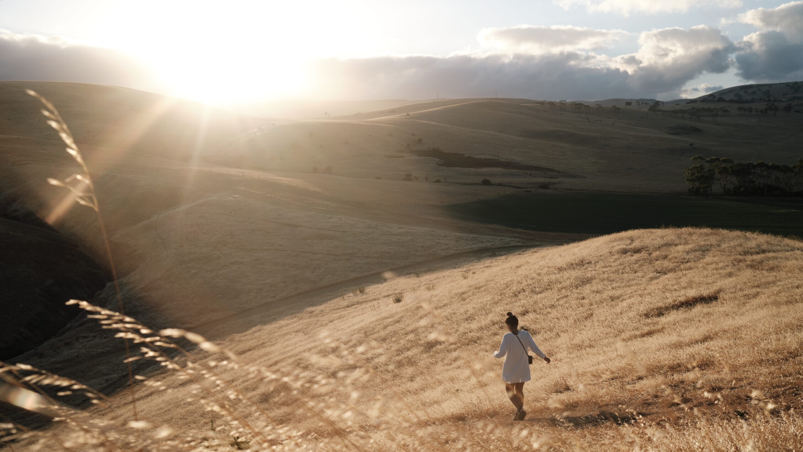 Rapid Bay Walks Near Normanville