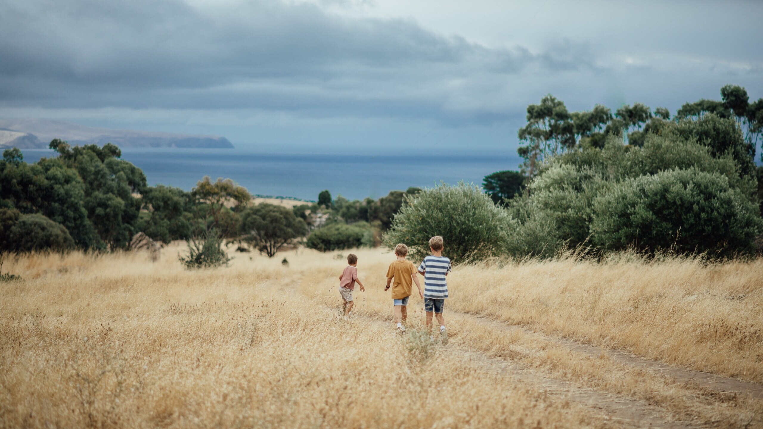 Normanville Beach Co. Family Friendly Things To Do scaled e1768980521478