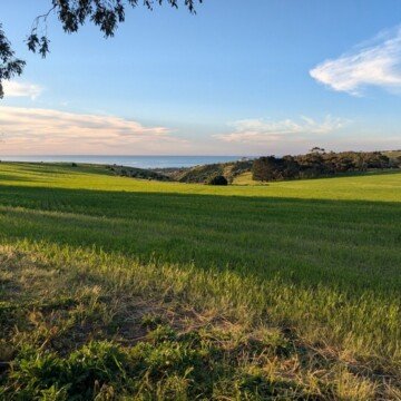 normanville-coastal-view-web
