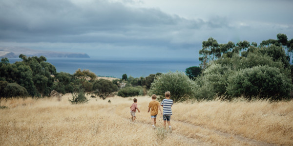 Coastal Walks Near Normanville