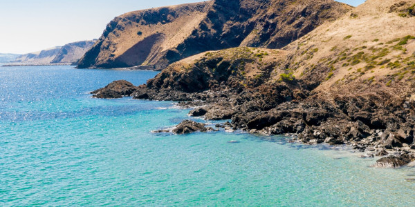 Rapid Bay Kayaking Near Normanville