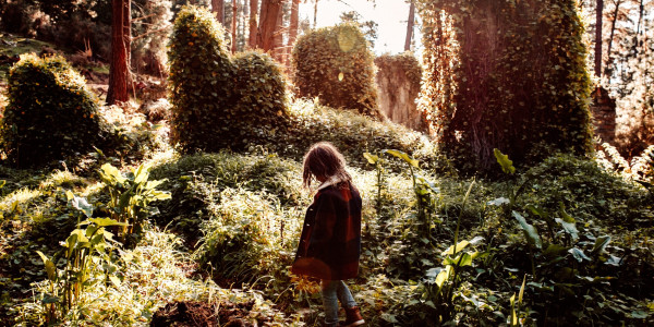 The Rose Cottage Walk Near Normanville